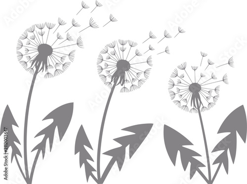 Obraz na płótnie Un minimalista de tres flores de diente de león grises con semillas volando al v
