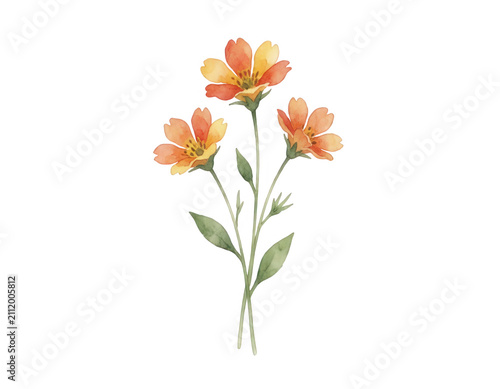 Orange Watercolor Flower Bouquet Transparent Background