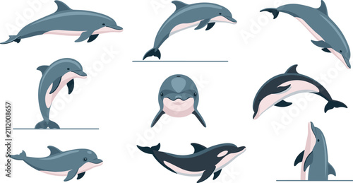 Canvastavla Bottlenose dolphin vector illustration kit featuring mid air jumping positions, playful tail stand pose, small newborn calf graphic and smiling front view marine mammal face portrait