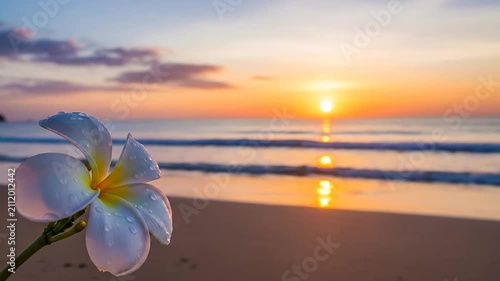 A delicate white flower rests on a sandy beach during a golden sunset