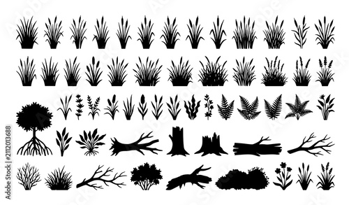 Bild auf Leinwand Swamp grass reed coastal thicket and wetland plant silhouette vector set