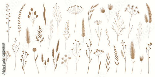 Watercolor botanical elements collection with dried pampas grass field flowers branches and autumn herbs isolated on white background.