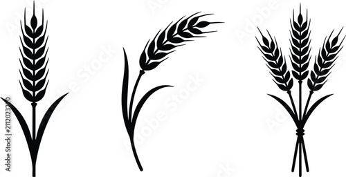 Wheat Ear Silhouette Set with Barley and Cereal Spikes, Black Agricultural Grain Vector EPS Collection Isolated on White Background