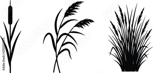 Black cattail reed and ornamental grass icon set isolated on white background