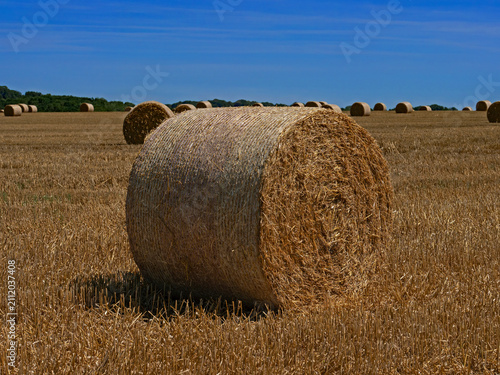 Straw bales in a mown field