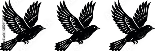 Bild auf Leinwand A minimalist black and white illustration featuring three identical small birds