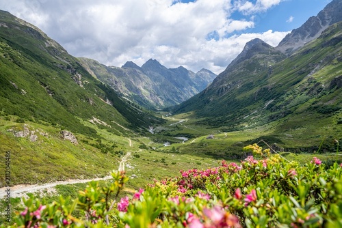 Photos Val Bever mit blühenden Alpenrosen – Sommer im Engadin, Graubünden