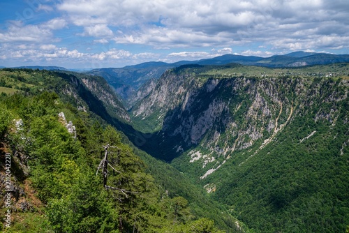 Tara-Canyon im Durmitor-Nationalpark – tiefe Flussschlucht in den Bergen, Montenegro