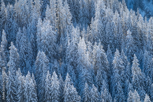 Konstfotografi Verschneite Bäume in Graubünden – winterliche Waldstimmung in den Schweizer Alpe