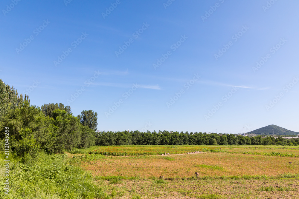 Fototapeta premium White clouds in the vast sky and the open fields