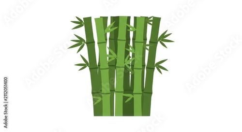 Bamboo stalks and green leaves illustration.
