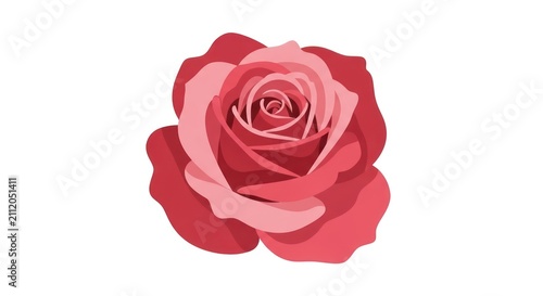Beautiful Pink Rose Flower Illustration.