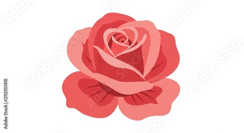 Beautiful Pink Rose Flower Illustration.