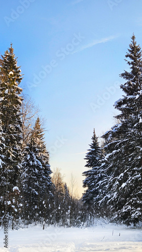 Russian winter nature