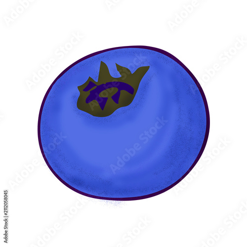 Cute Hand Drawn Fresh Blueberry on White Background