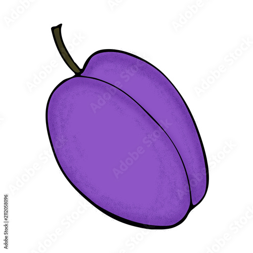 Cute Hand Drawn Fresh Plum on White Background 