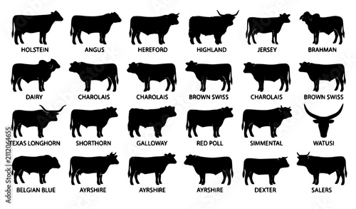 Premium Cow Breed Silhouette Collection Black Farm Animal Vector Icons