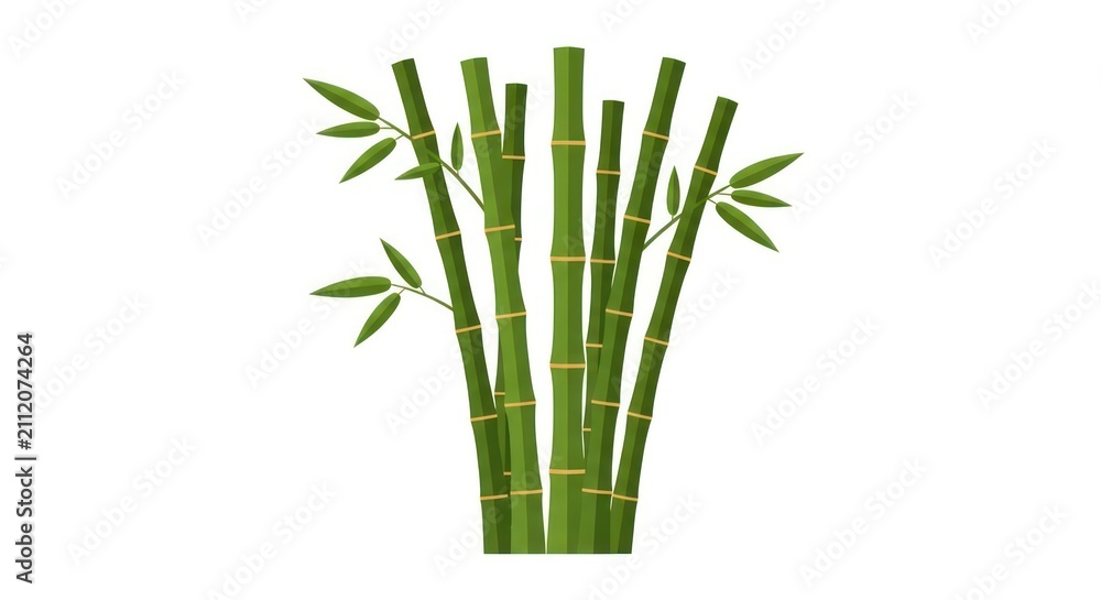 Obraz premium Bamboo plant with green stems.