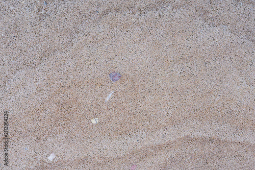 Fotografie Close-up of beach sand texture with tiny shell fragments and pebbles