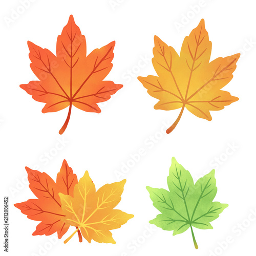 단풍잎 세트 Maple leaves