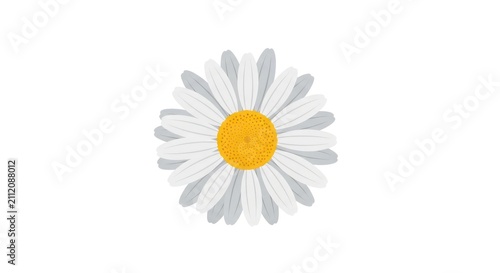 Simple illustration of a daisy flower.