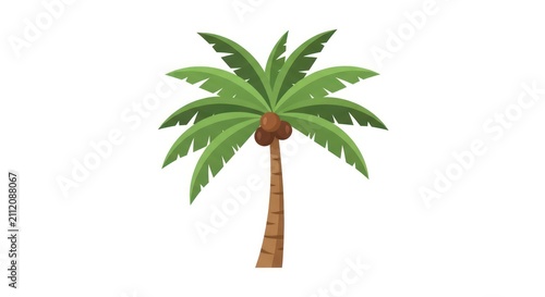Single palm tree on white background.