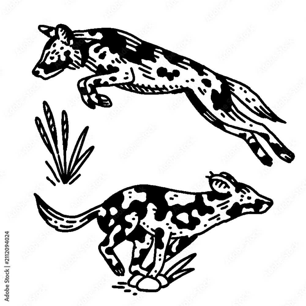 Fototapeta premium Edgy raw line art of jumping wild hunting dogs, flash tattoo