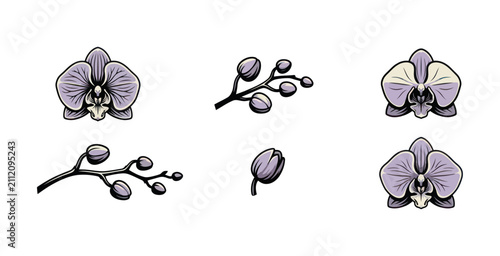 Orchid Flower and Bud Icon Set