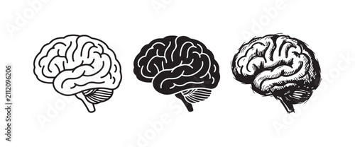 Set of three stylized human brain icons, side view, featuring outline, solid black, and rustic hand-drawn sketch versions, representing intellect and cognition.