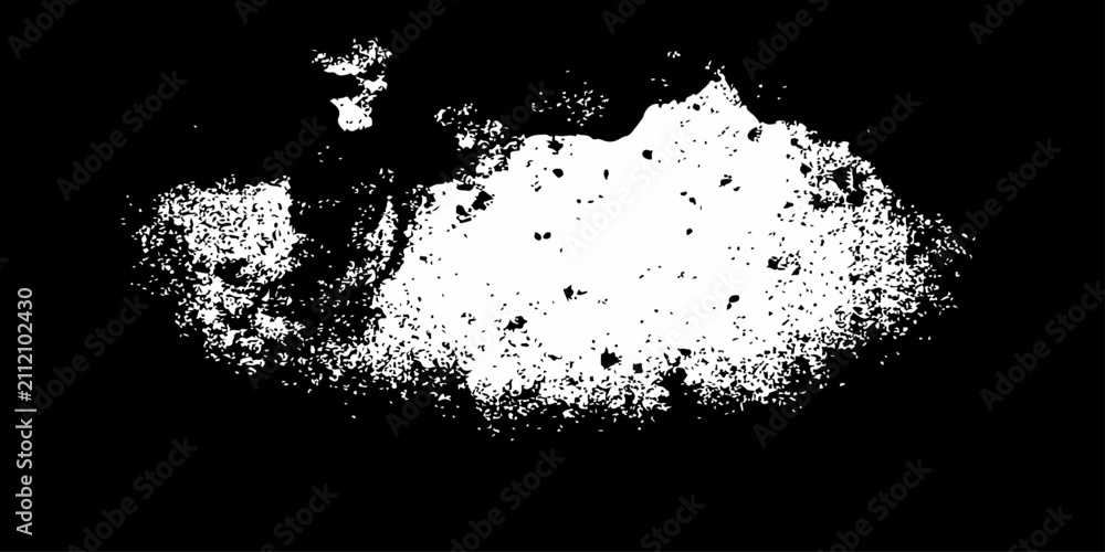 Obraz premium Black and White Grunge Ink Splash and Splatter Vector Frame with Floral Paint Texture Border Illustration for Abstract Artistic Design and Wallpaper Decoration