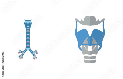 Foto Vector medical illustration of human respiratory system with trachea, bronchi, a