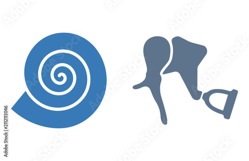 Photography Blue cochlea and middle ear ossicles anatomical symbols illustration