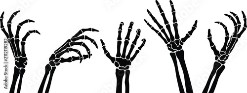 Skeleton Hands Silhouette Set PNG Isolated on Transparent Background