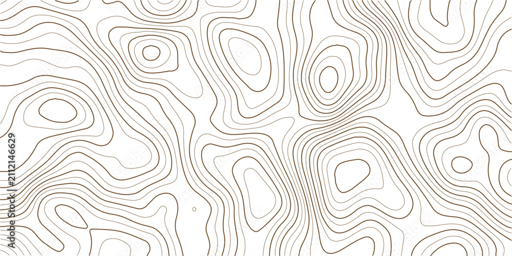 Fototapeta premium Topographic map lines showing elevation changes over terrain areas