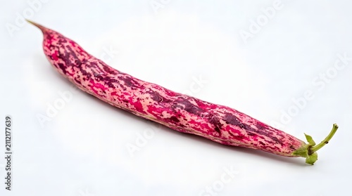 Fresh cranberry bean pod with purple marble pattern isolated on white background macro shot.