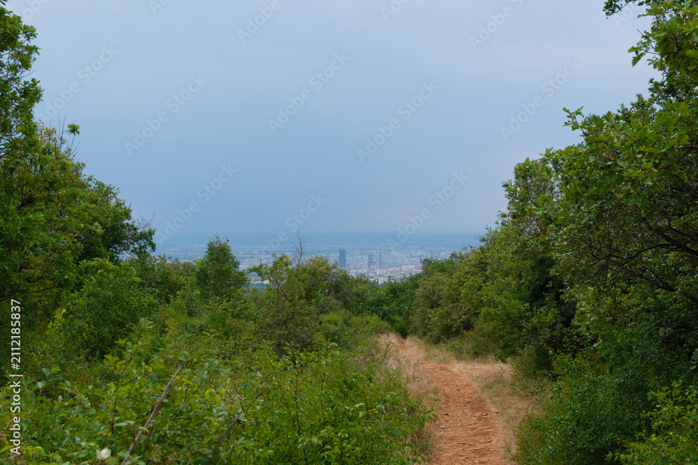 Fototapeta premium Sentier de randonnée dans le Mont d'Or ouvrant une vue panoramique sur les tours de Lyon par temps orageux