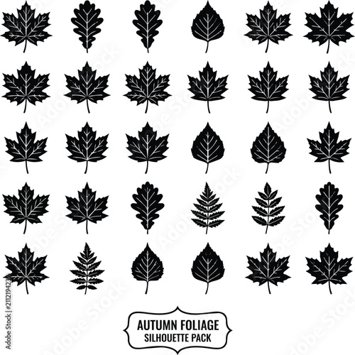  Decorative autumn foliage silhouette pack with detailed leaf shapes