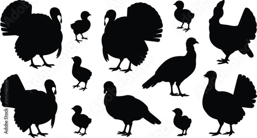 Фотография Set of black silhouettes featuring various turkeys and small chicks isolated on