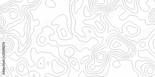 Fotografía White abstract wave paper spiral area world topography map curved reliefs design