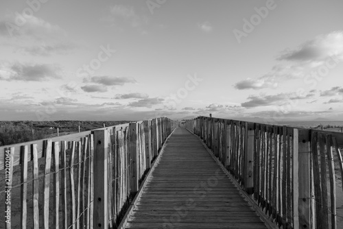 Black and white wooden boardwalk path through coastal dunes toward Labenne-Océan in the Landes, France, with the Pyrenees mountains visible on the horizon. Monochrome.