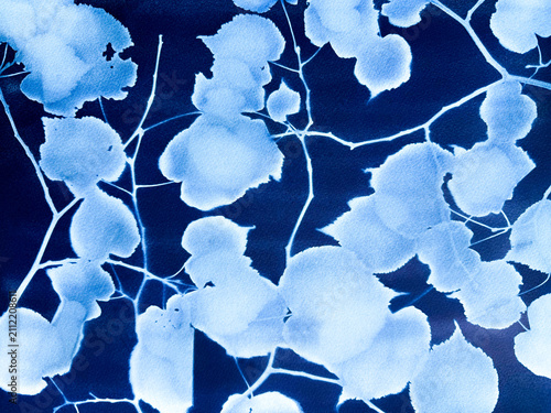 Linden tree leaves ornament on blue cyanotype background