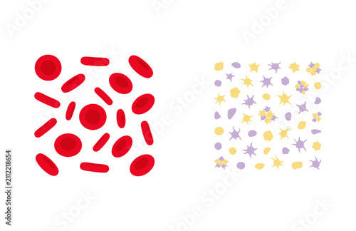 Photography Red blood cells and platelets medical vector illustration isolated on white