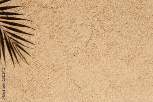 Abstract tropical background featuring a dark palm leaf shadow over a rough beige stucco wall texture