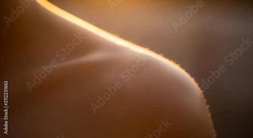 Sunlit human shoulder silhouette highlighting smooth skin texture during golden hour warm ambient