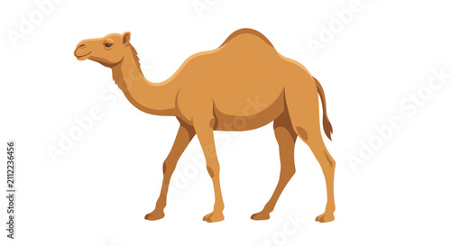 Принти на полотні Single humped camel walking in a desert landscape during daytime.