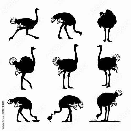 Detailed ostrich bird silhouette vector set isolated background