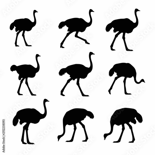 Detailed ostrich silhouette collection vector isolated white background