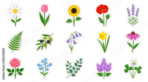Collection of colorful spring flowers and botanical elements as stickers isolated on transparent background