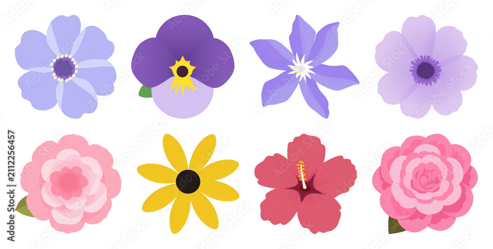 Fototapeta premium PNG Colorful floral vector element set on transparent background