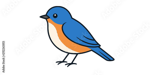 robin bird on a branch